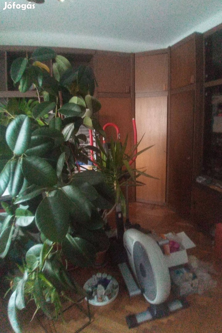 Gardróbszekrény 2 méretben. Előszobában is rendezett képet