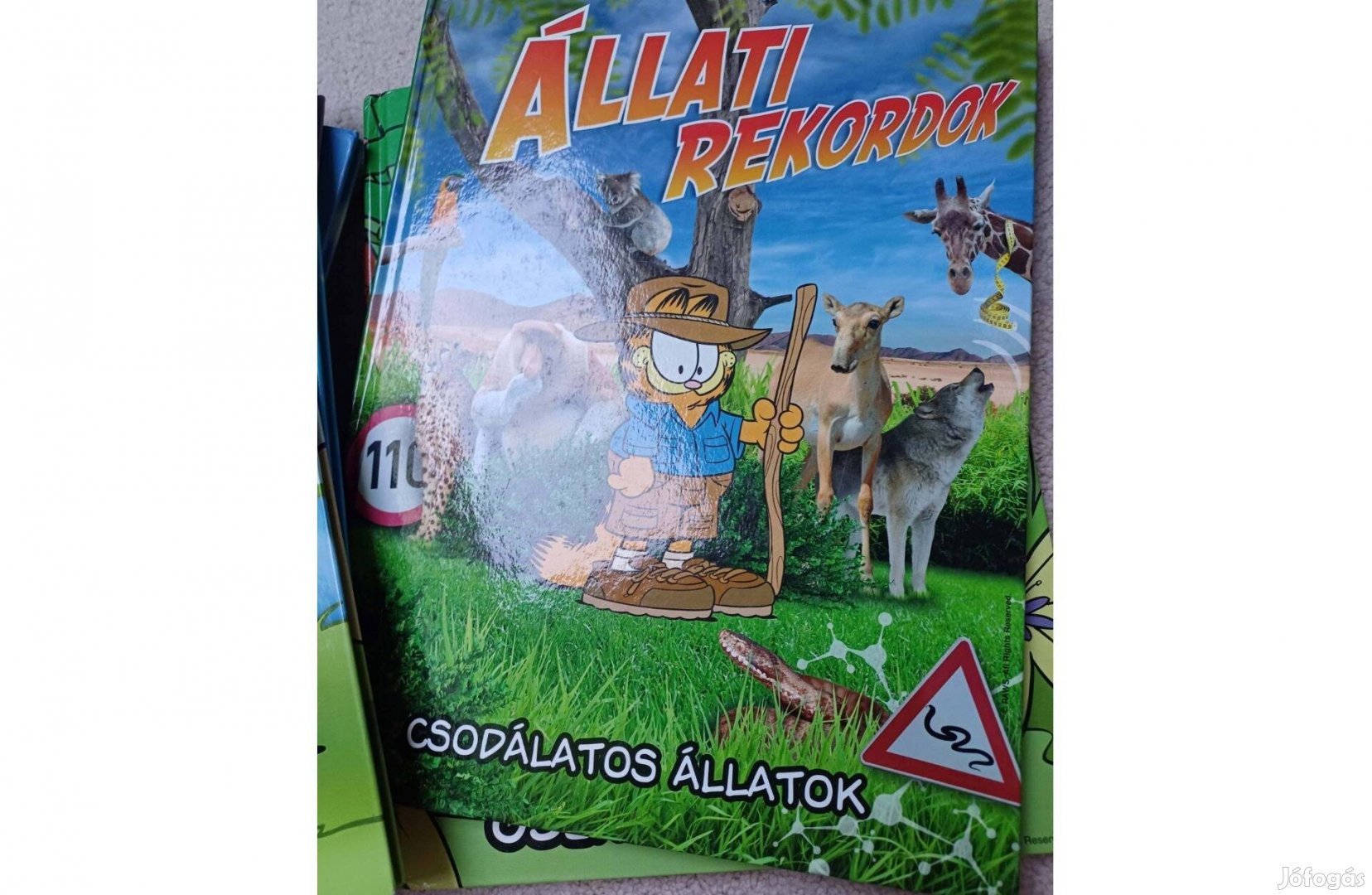 Garfield Állati rekordok Spar matricás album csodálatos állatok