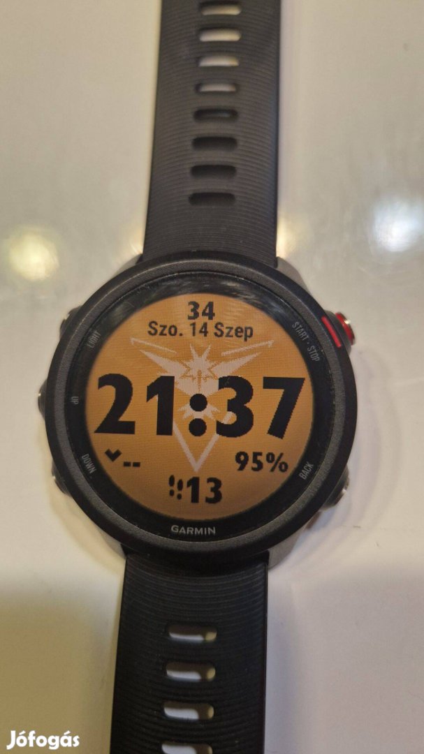 Garmin Forerunner 245 Music