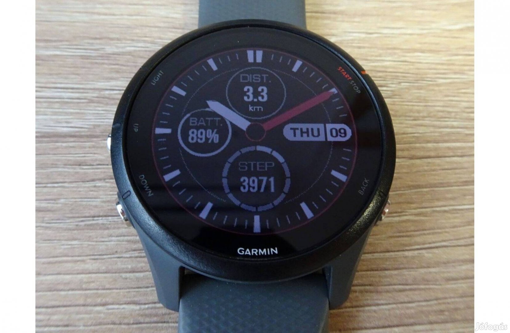 Garmin Forerunner 255