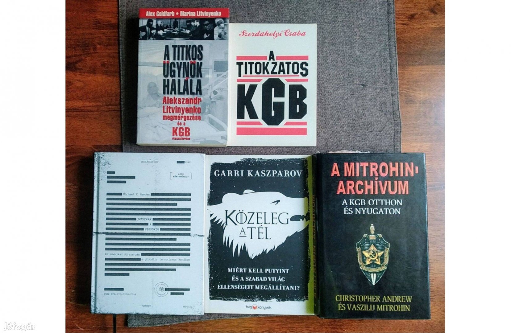Garri Kaszparov: Közeleg a tél újszerű