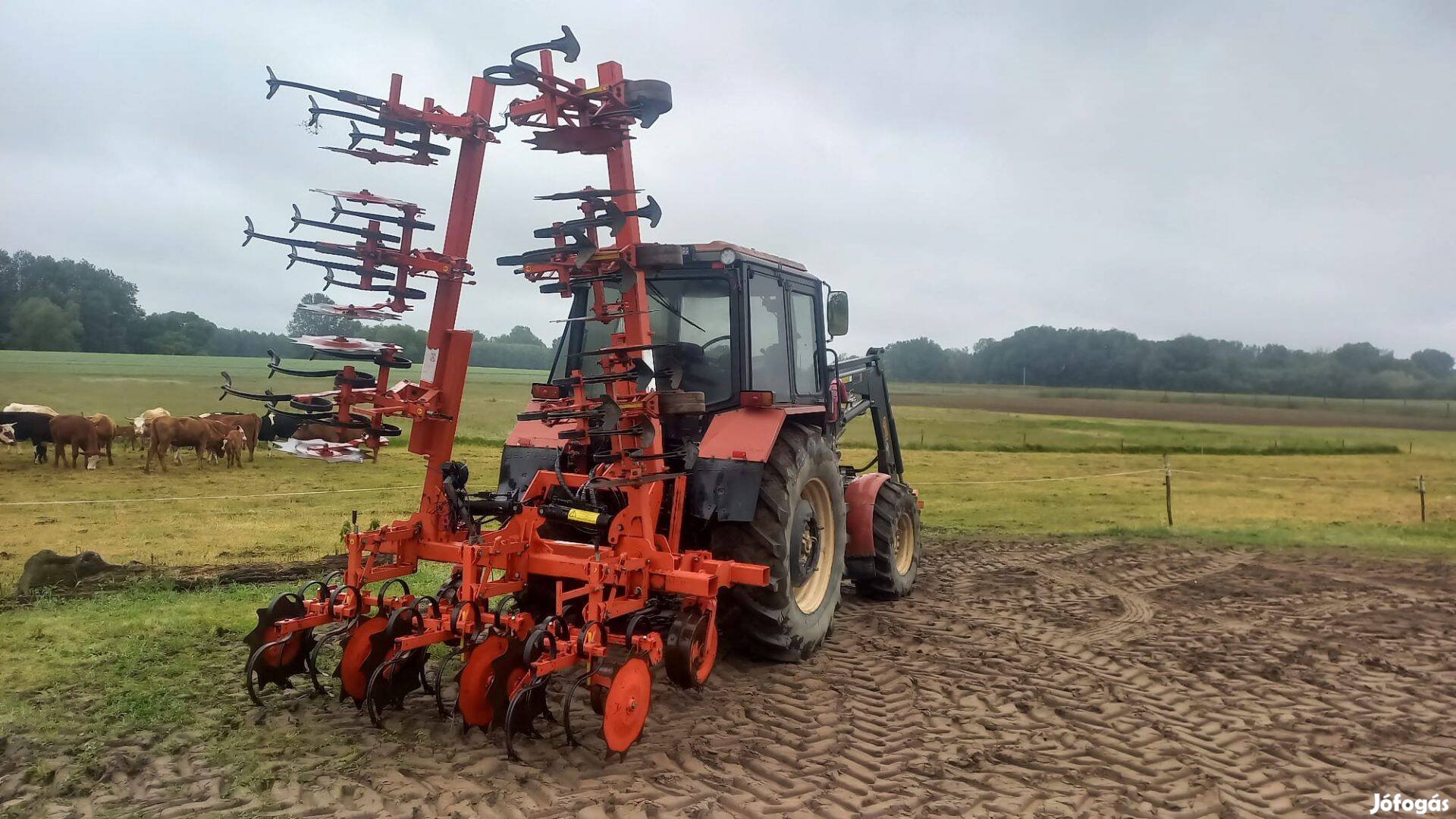 Gaspardo HS8 sorközművelő