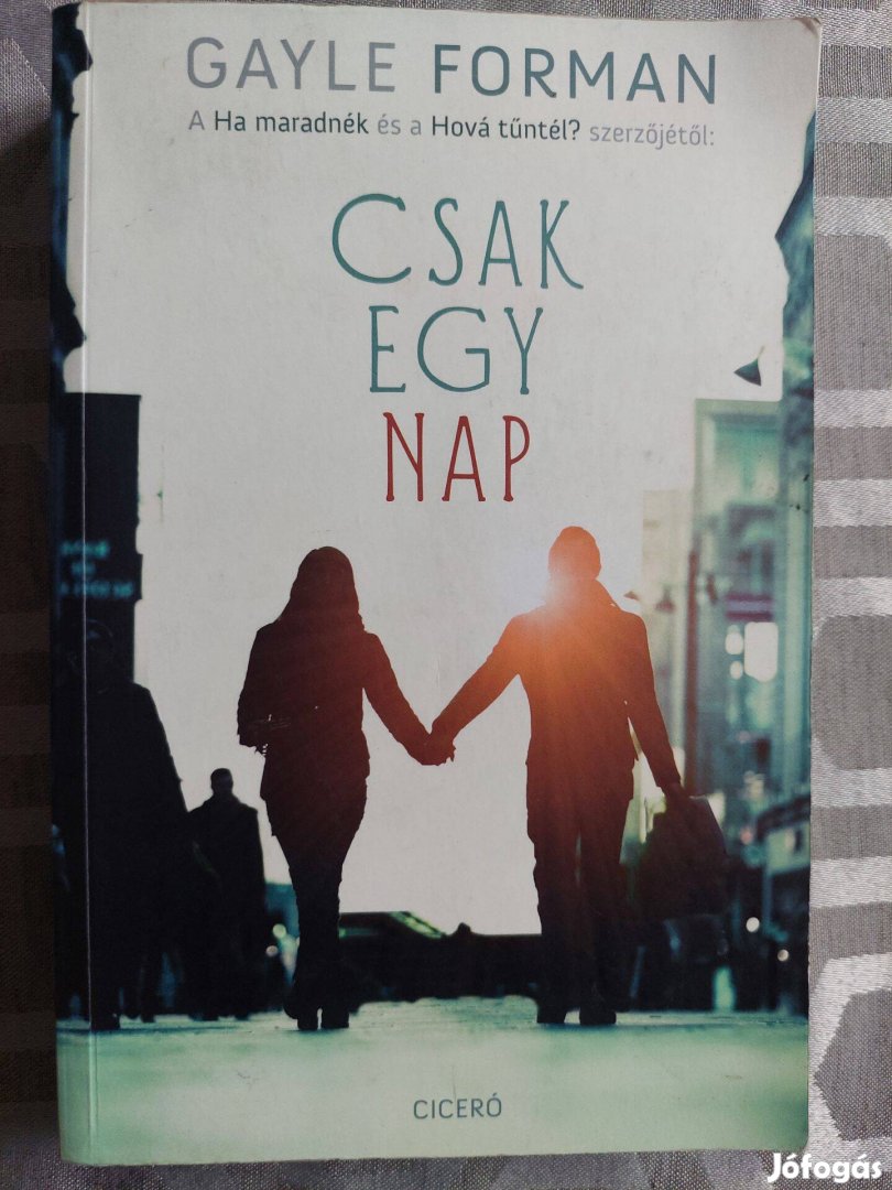 Gayle Forman: Csak egy nap