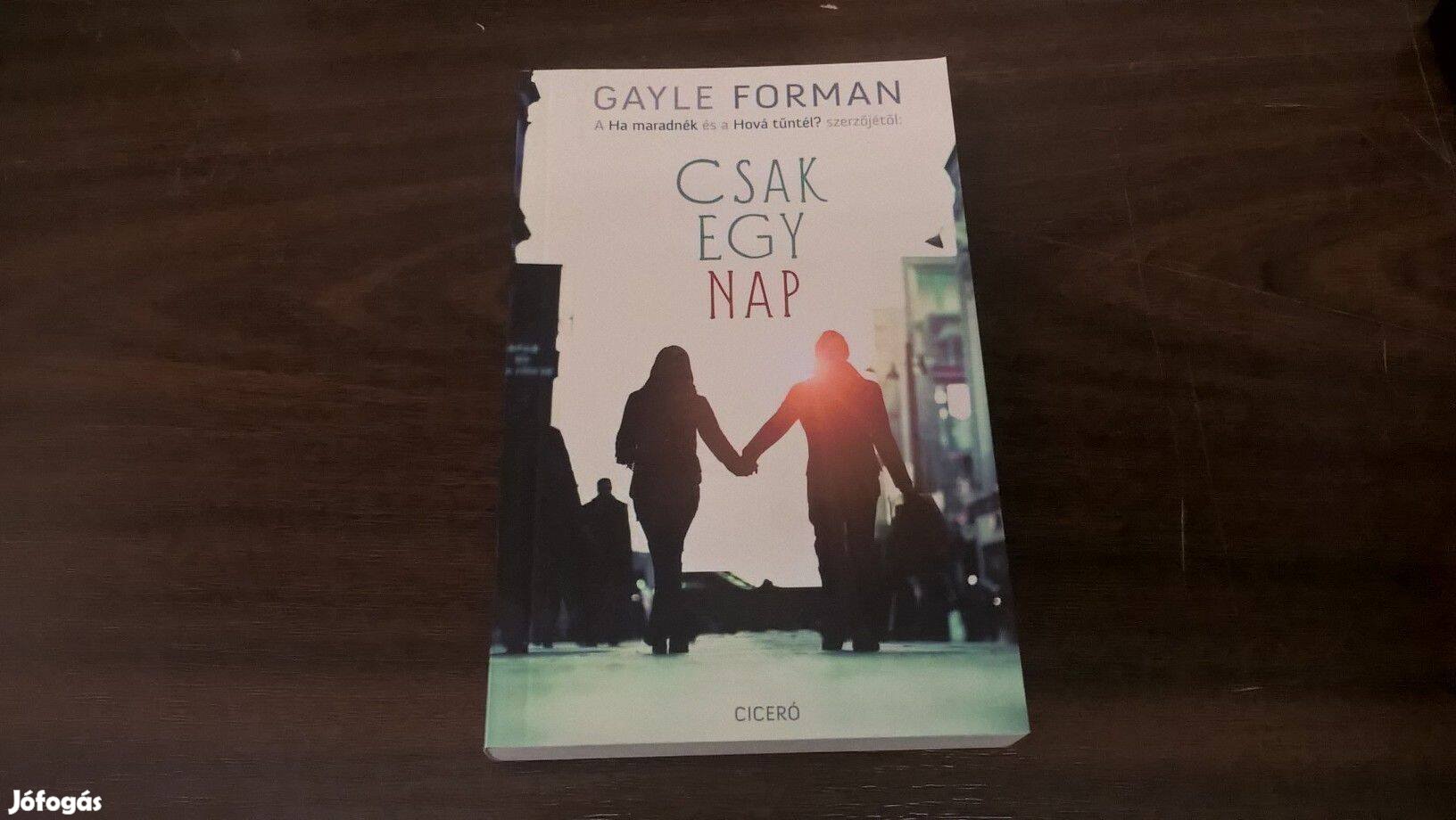 Gayle Forman - Csak egy nap 1-2