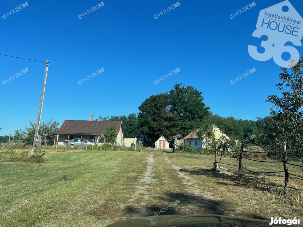 Gazdálkodásra alkalmas tanya eladó!