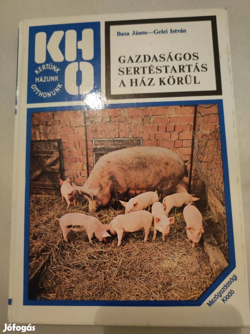 Gazdaságos sertés tartás a ház körül 