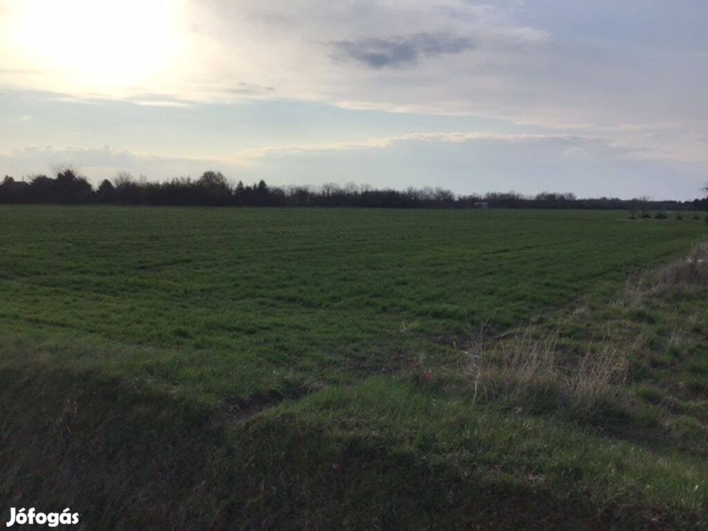 Gencsapáti frekventált utcájában kiváló adottságú telek