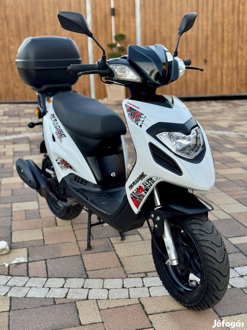 Generic Paradise 50 4T i