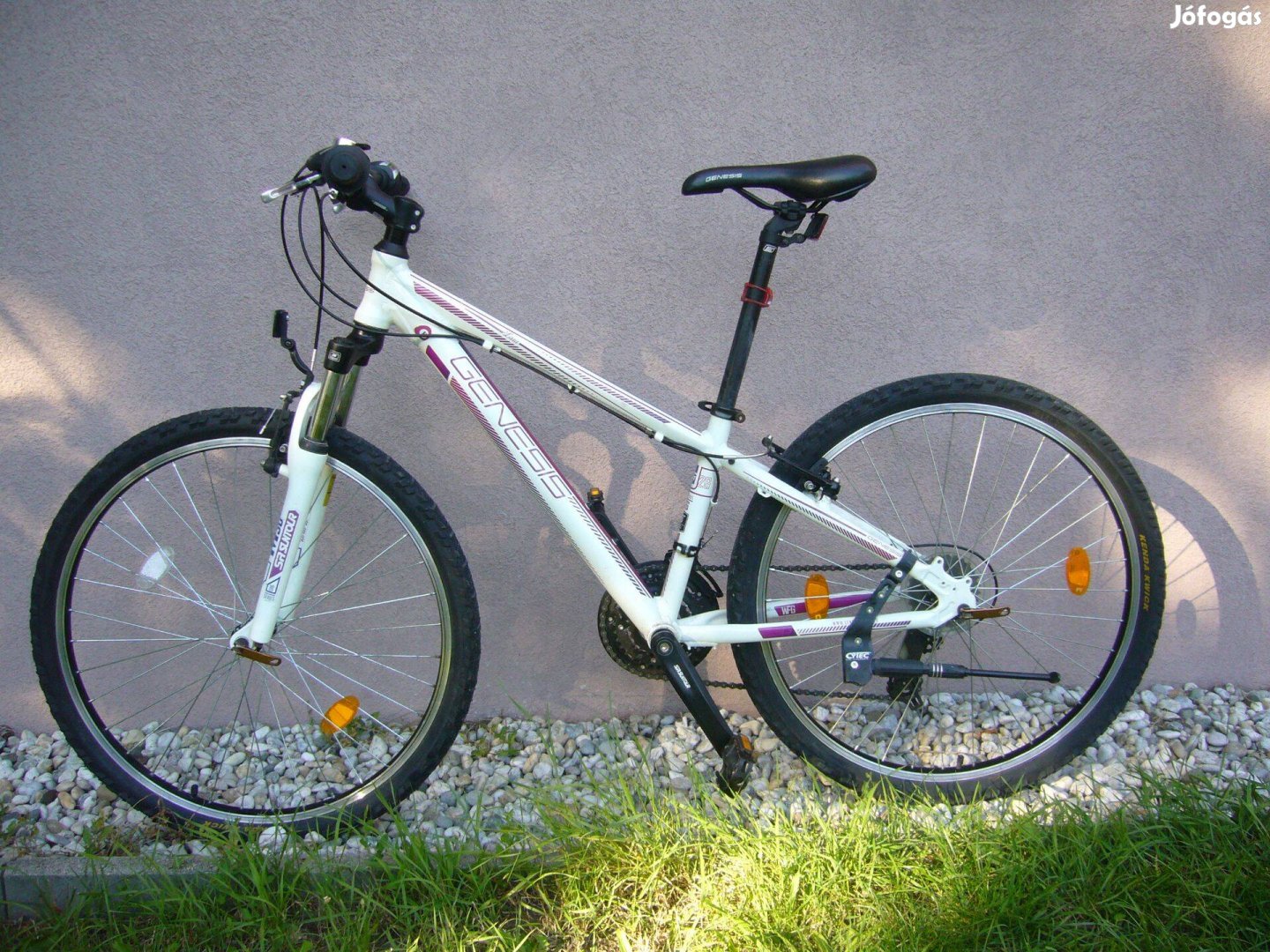 Genesis 26" mountain bike