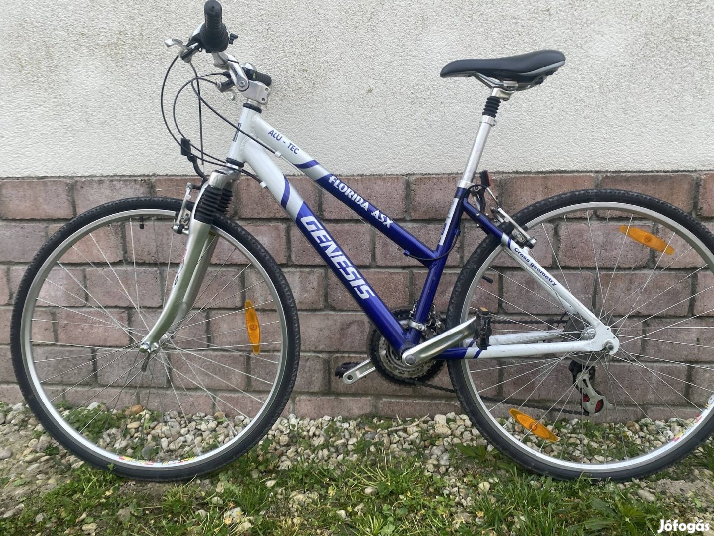 Genesis Női kerékpár