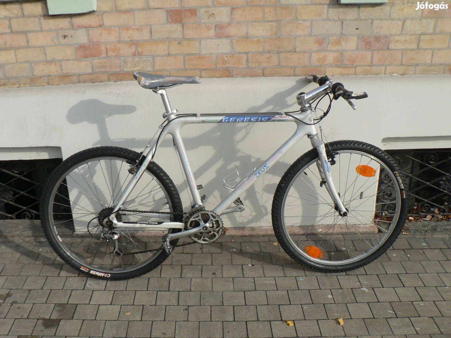 Genesis Zeus carbon retro mountain bike