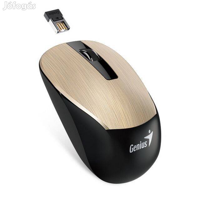 Genius Wireless NX-7015 USB Blueeye Optikai Egér (1018)