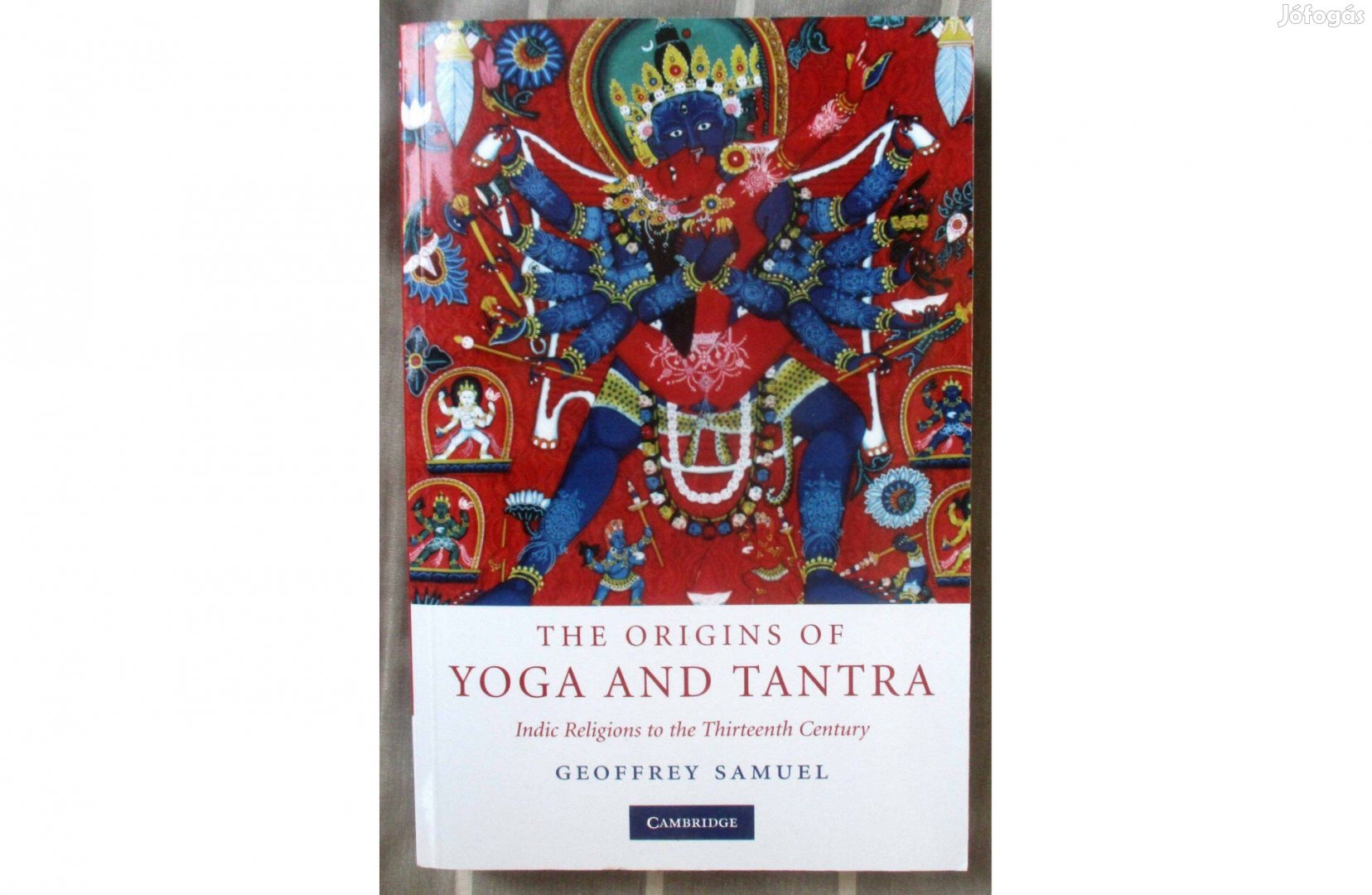 Geoffrey Samuel: The Origins of Yoga and Tantra: Indic Religions