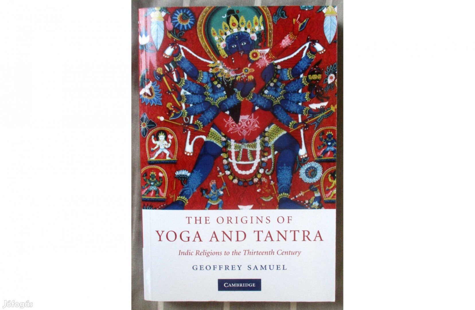 Geoffrey Samuel: The Origins of Yoga and Tantra: Indic Religions