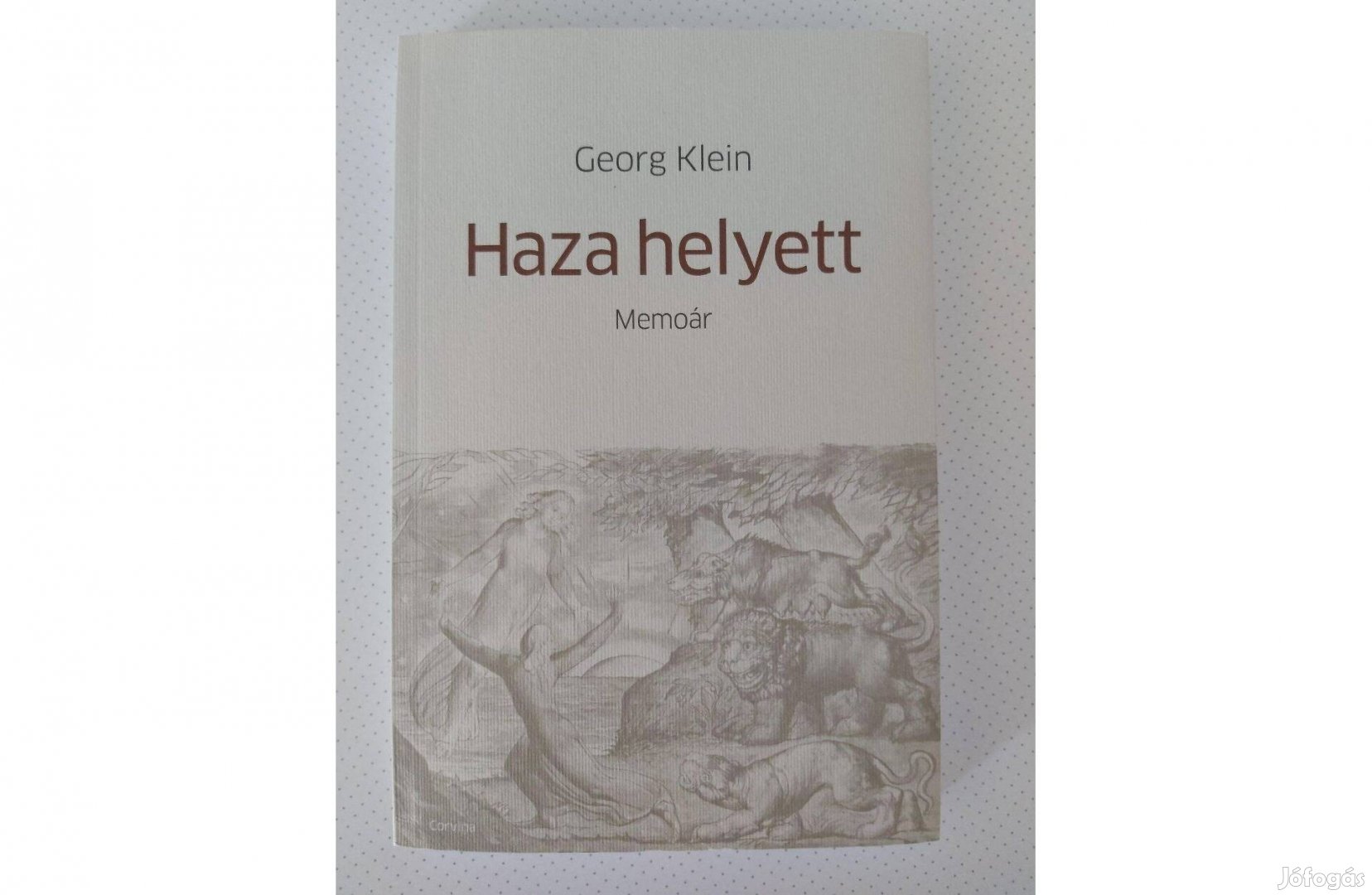 Georg Klein: Haza helyett