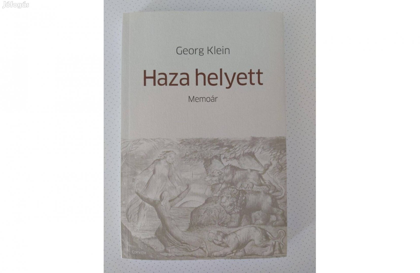 Georg Klein: Haza helyett