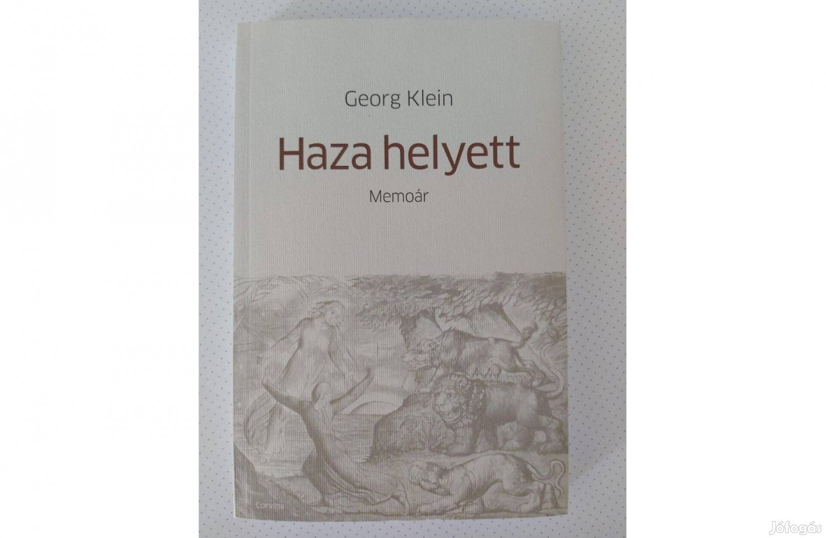 Georg Klein: Haza helyett