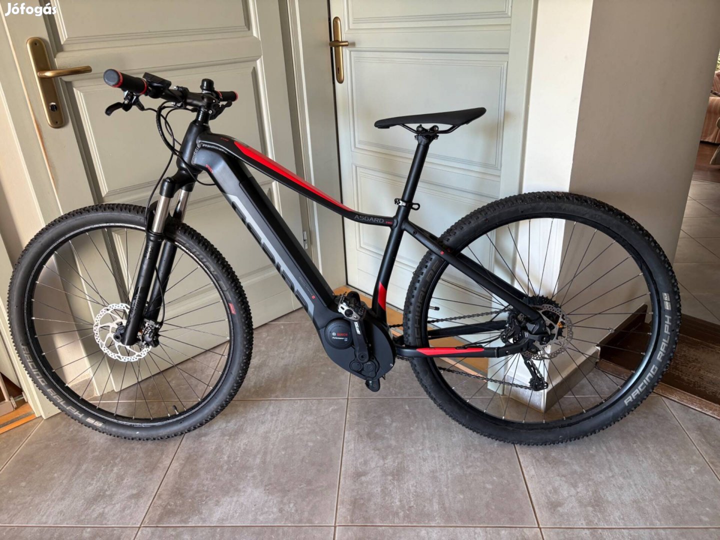 Gepida Asgard pro XT11