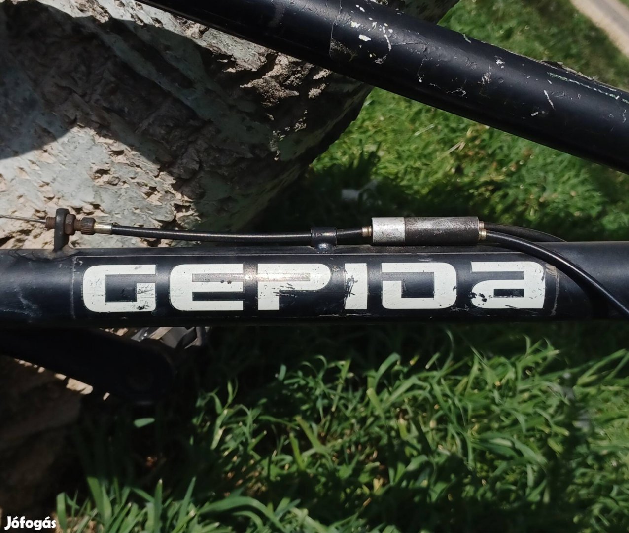 Gepida BMX eladó