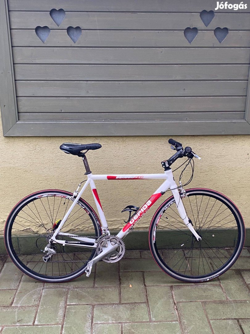Gepida Bandon 930