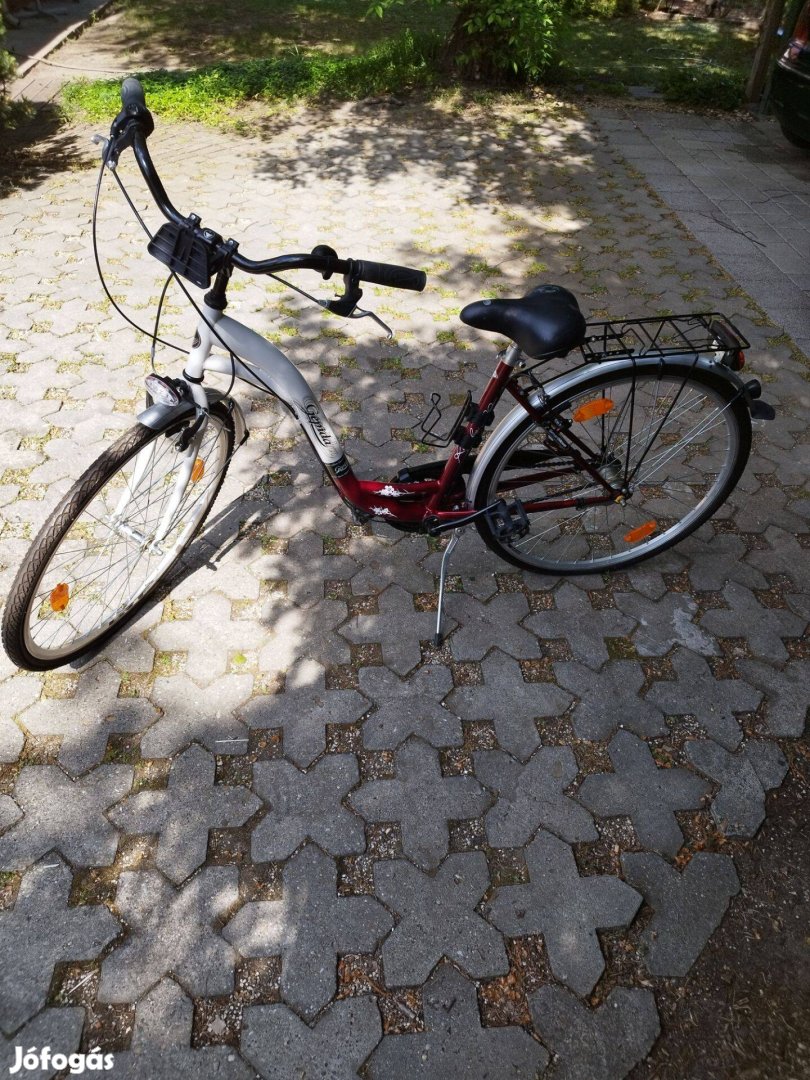 Gepida Reptilla női bicikli eladó