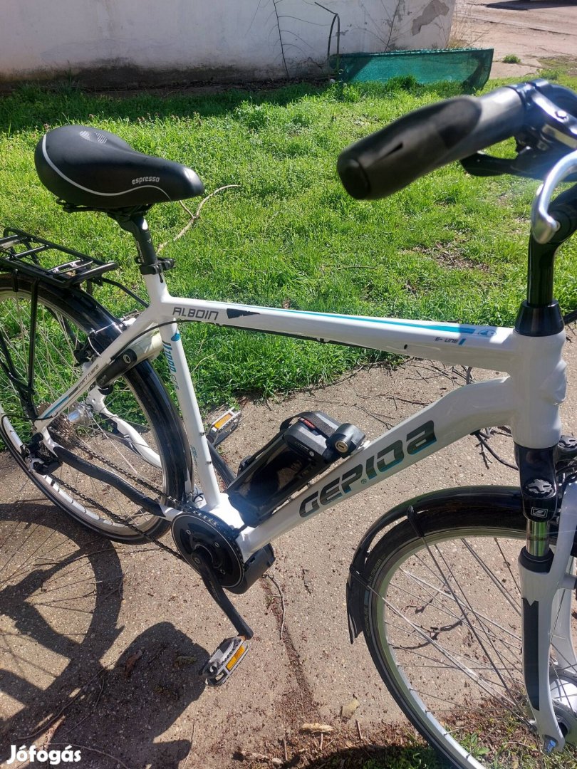 Gepida alboin 1000 crs e-bike