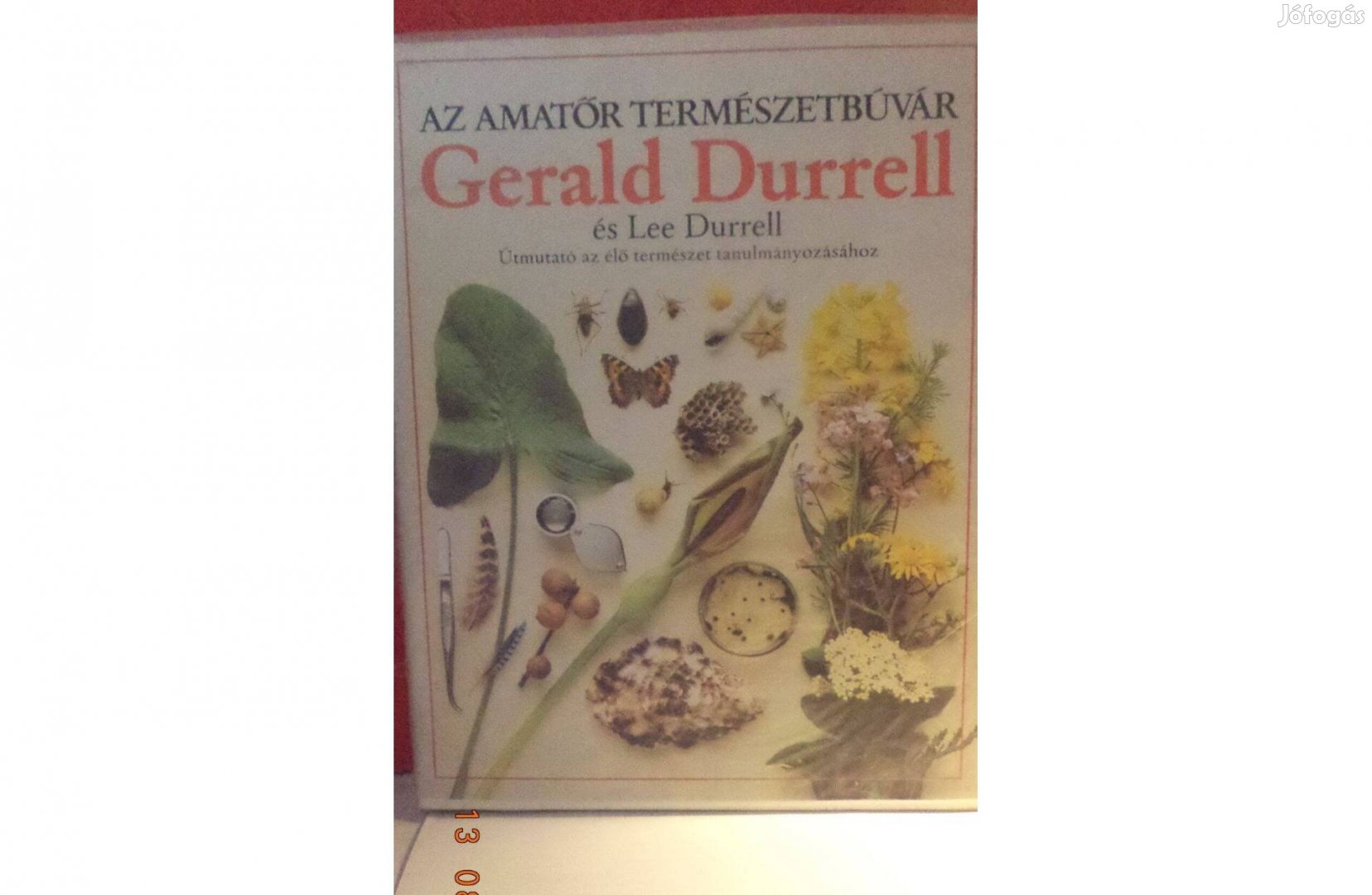 Gerald Durrell és Lee Durrell: Az amatör természetbvúvár