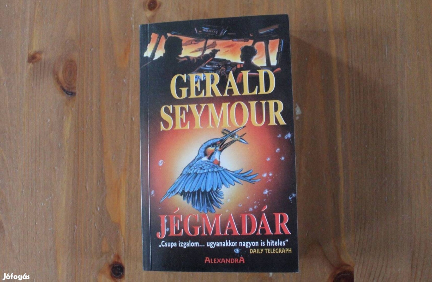 Gerald Seymour - Jégmadár