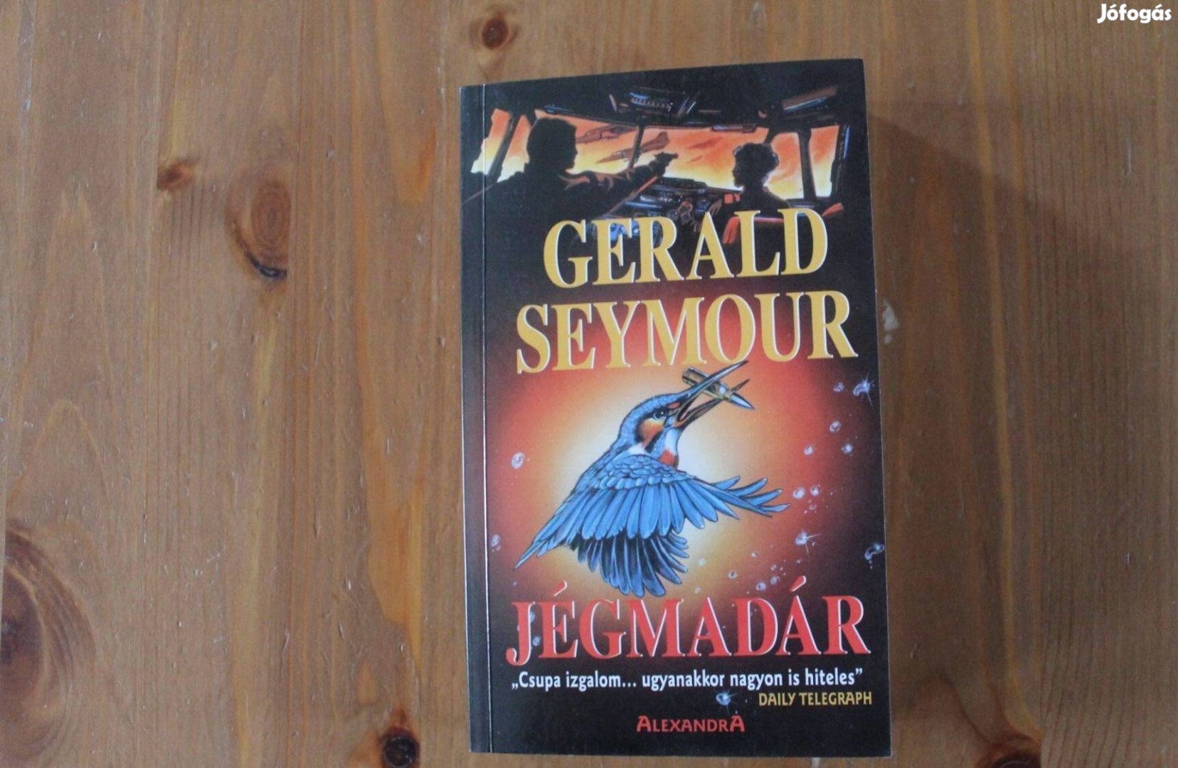 Gerald Seymour - Jégmadár