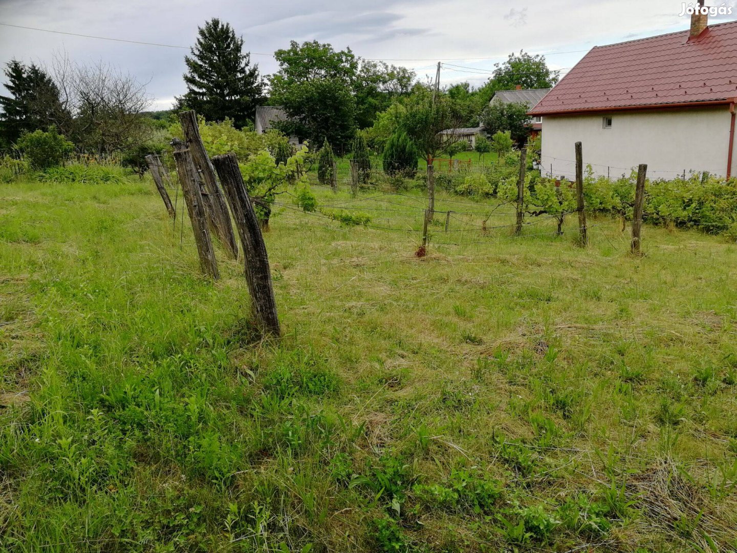 Gévahegyen gyümölcsfás telek eladó!