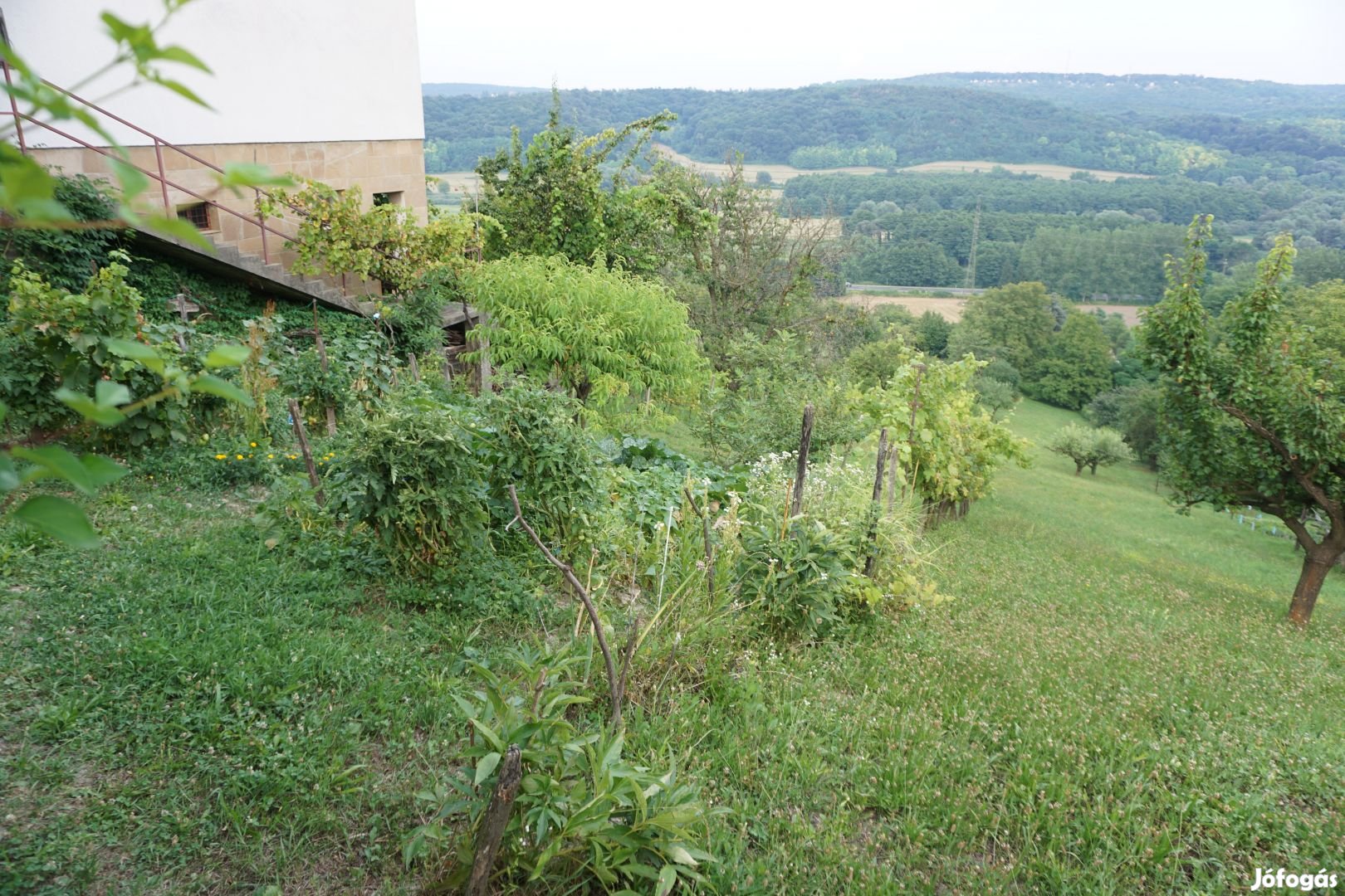 Gévahegyi Zártkerti panorámás terület eladó.