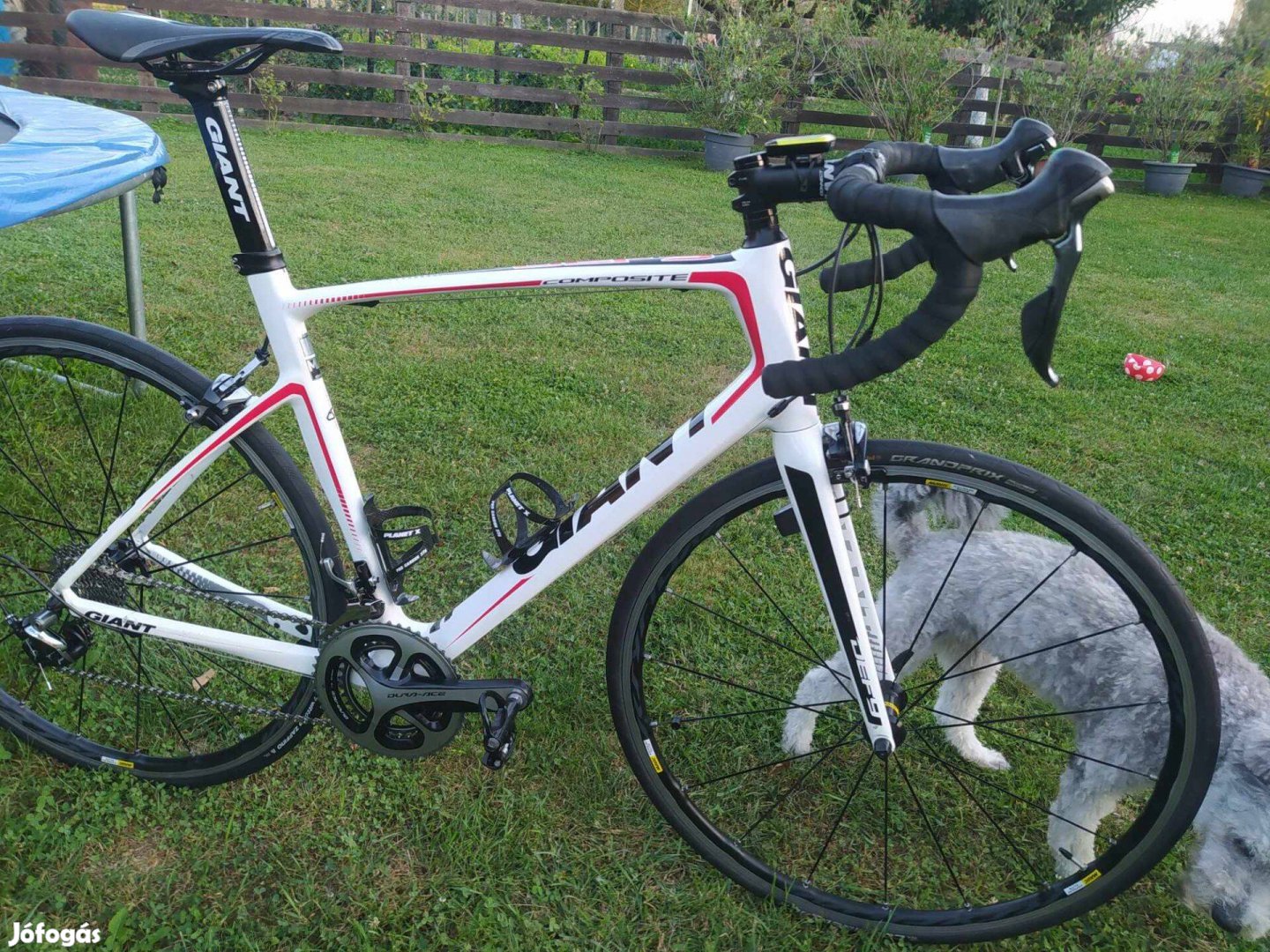 Giant Carbon road bike Full Dura-Ace !