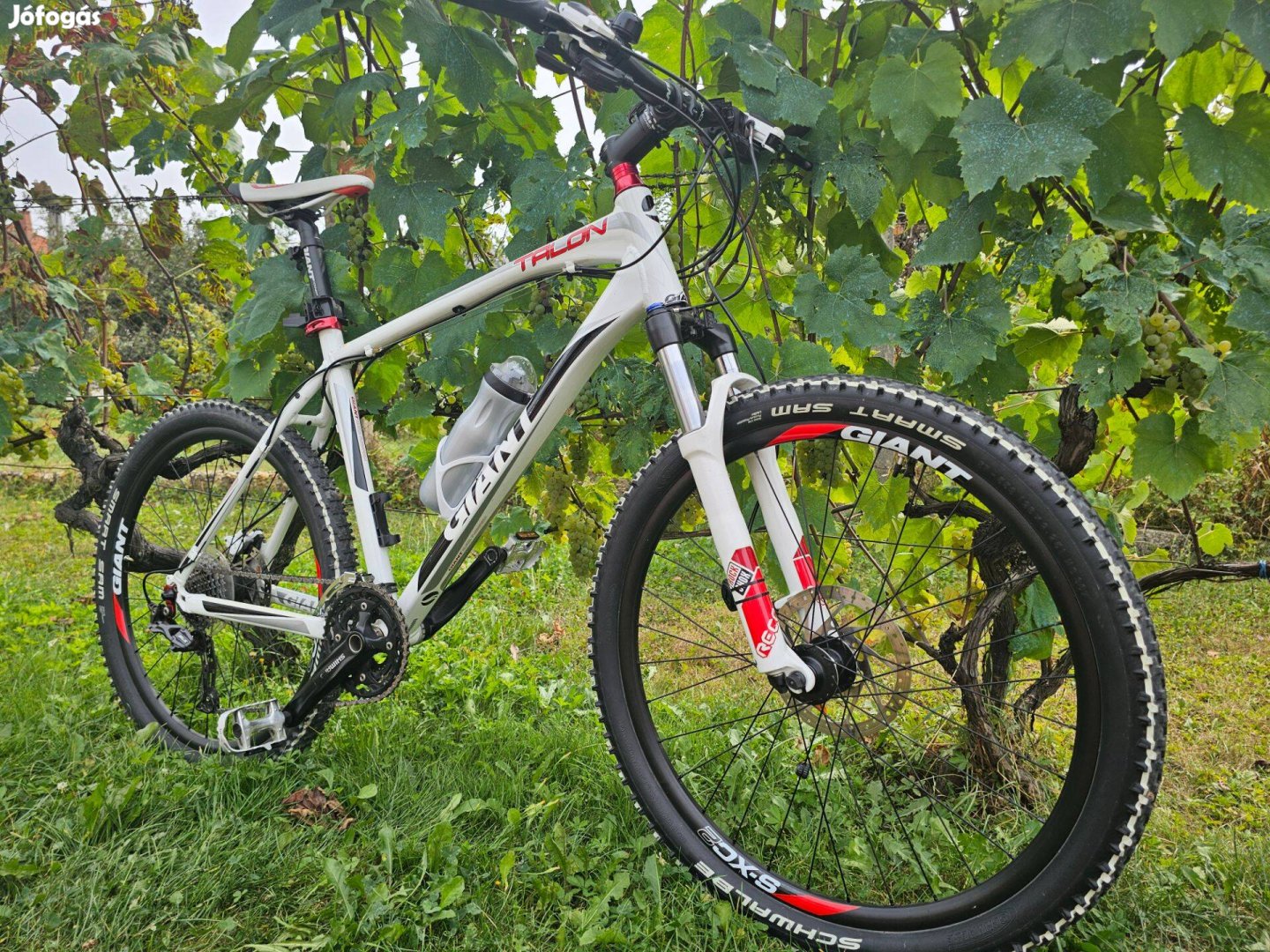 Giant Talon Mtb