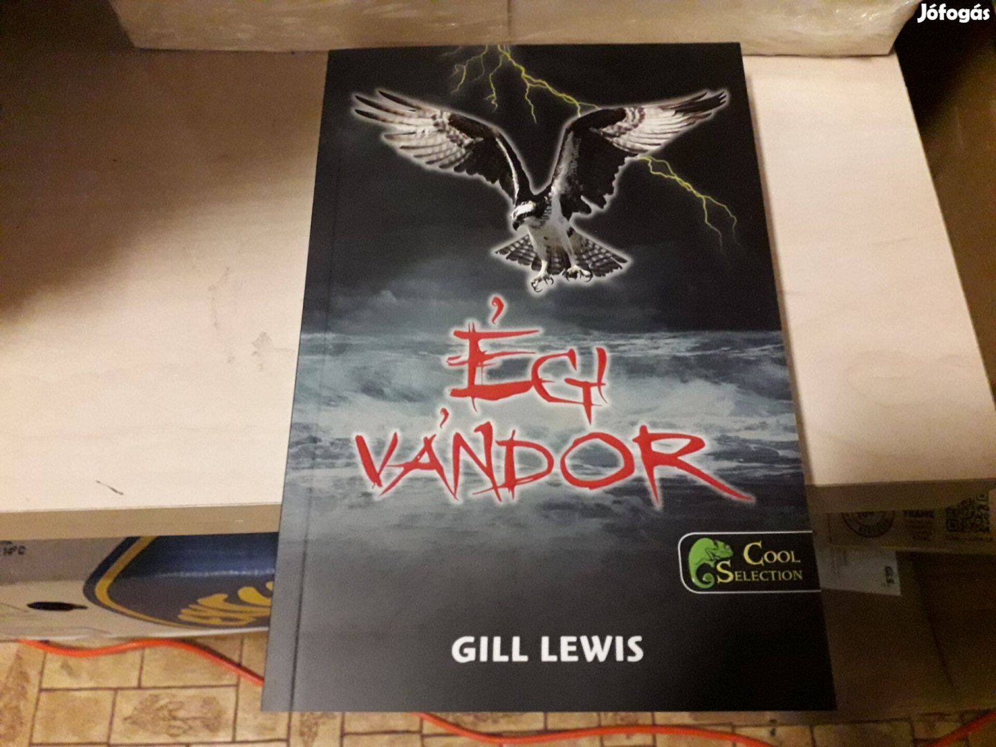 Gill Lewis - Égi vándor