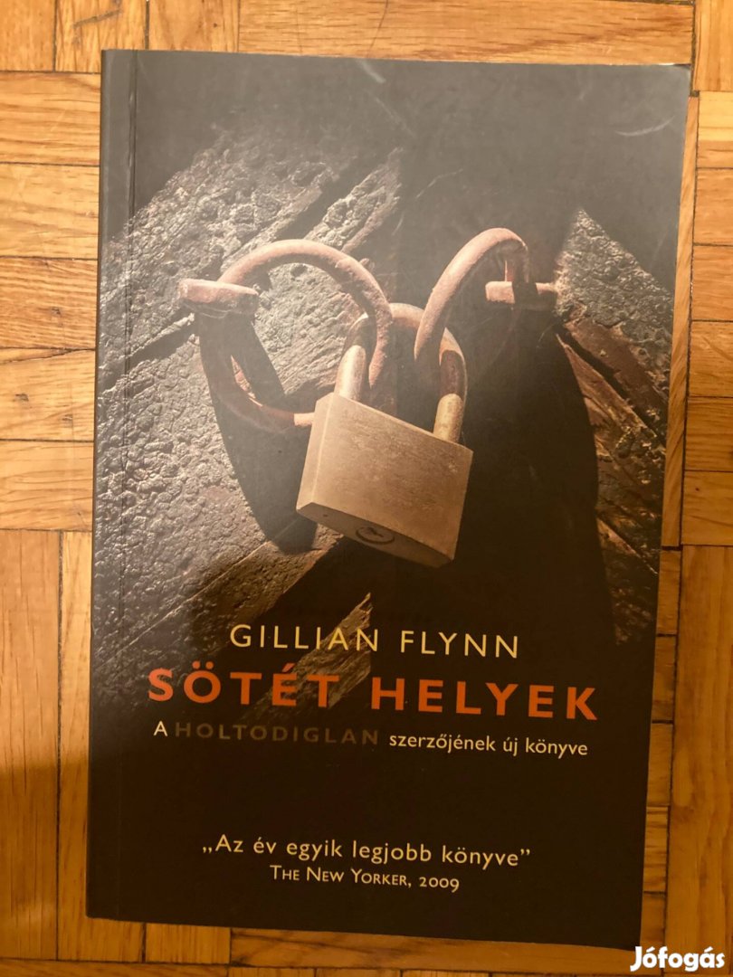 Gillian Flynn Sötét helyek