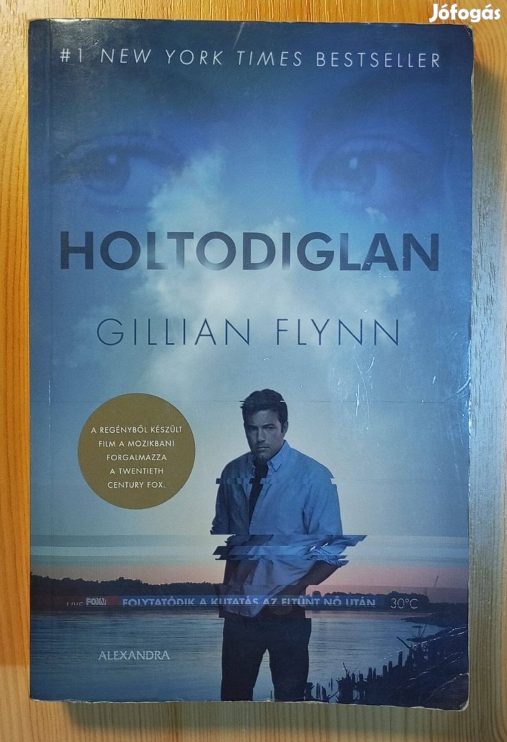 Gillian Flynn: Holtodiglan