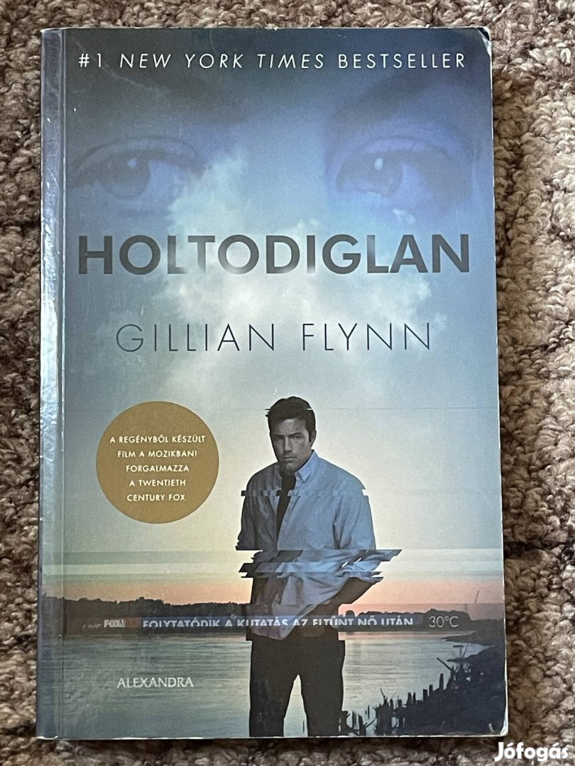 Gillian Flynn: Holtodiglan