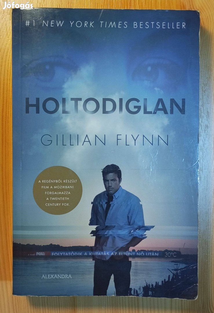 Gillian Flynn: Holtodiglan