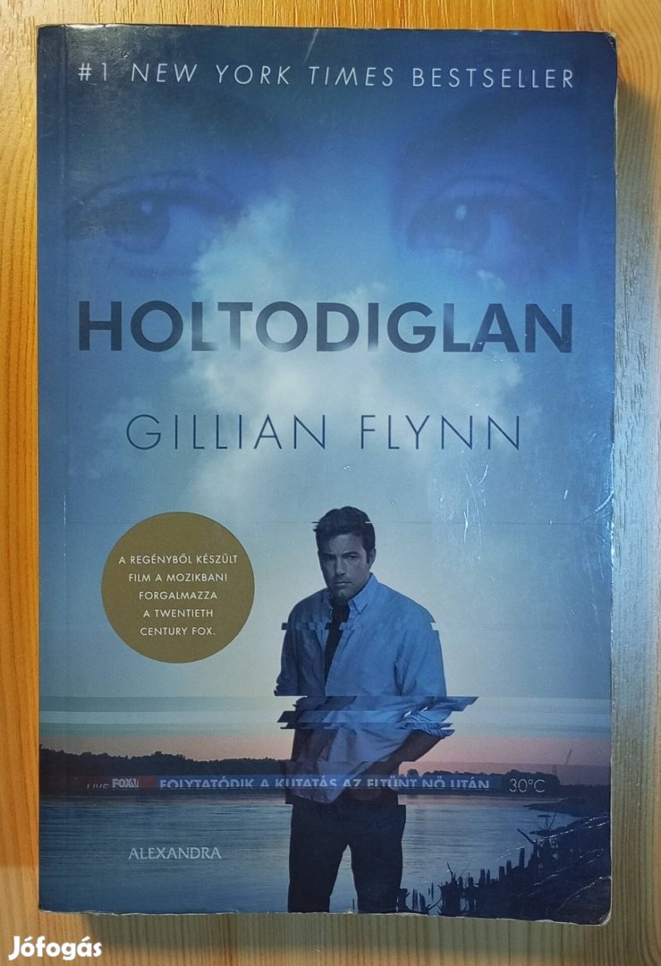 Gillian Flynn: Holtodiglan