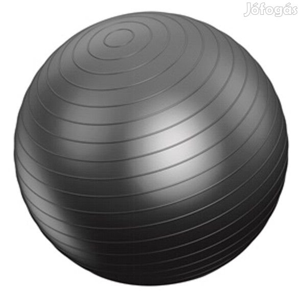 Gimnasztikai labda (45 cm, szürke)