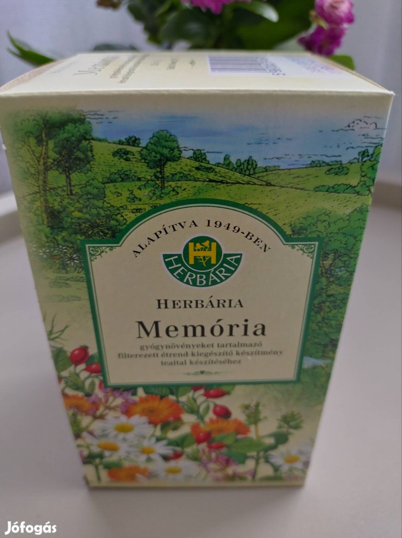 Ginzenges Memória tea 