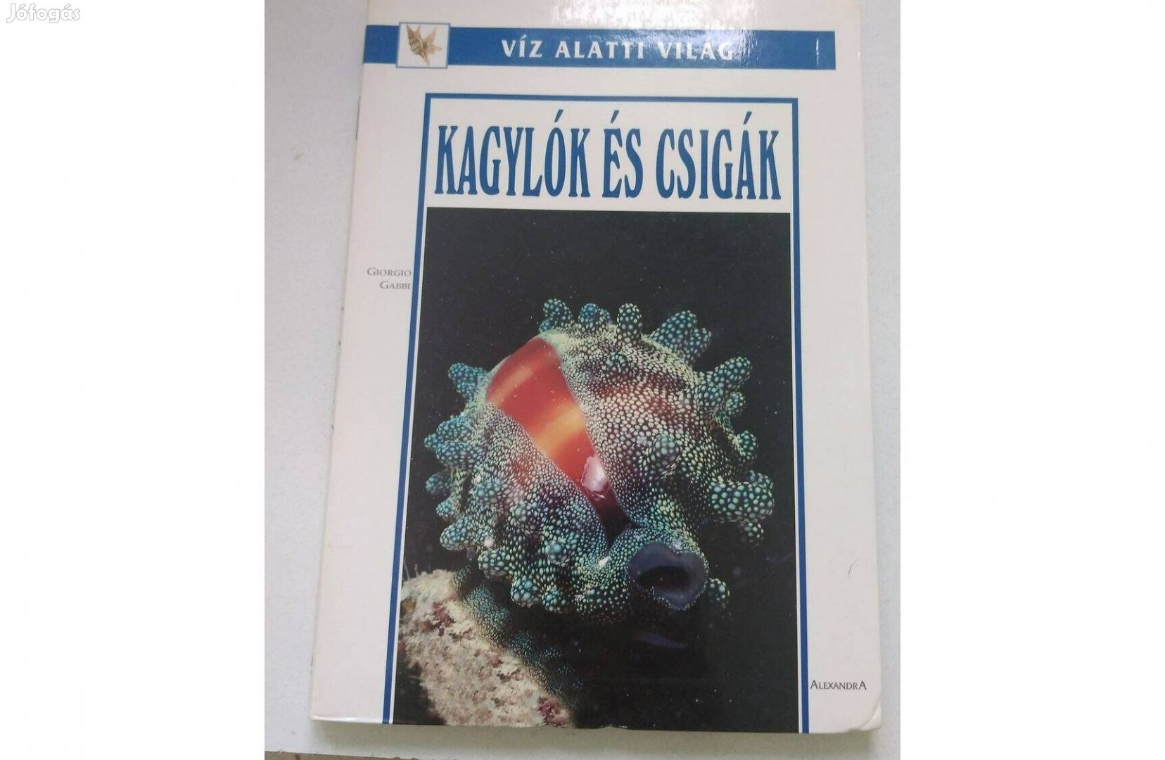 Giorgio Gabbi - Viz altti világ Kagylók és csigák