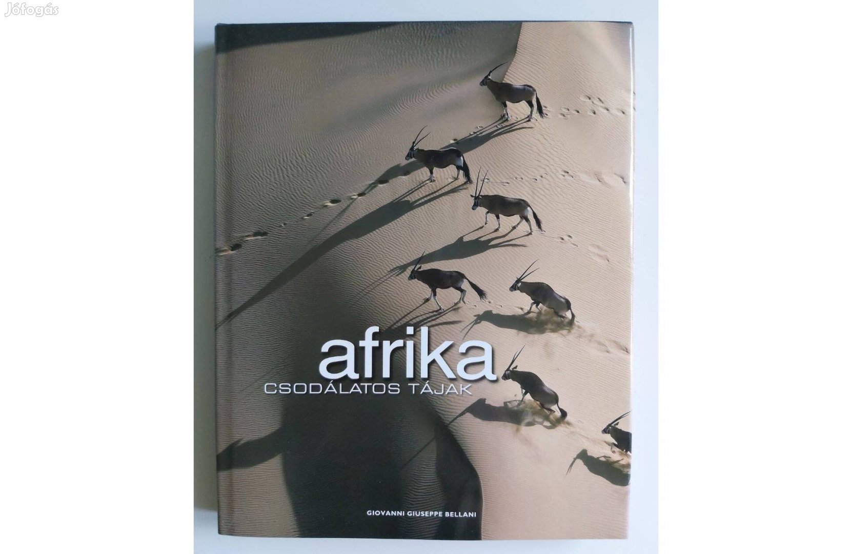 Giovanni Giuseppe Bellani: Afrika (Csodálatos tájak)