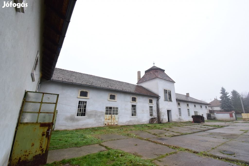 Gödöllő, Mátyás király utca, 792 m2-es, egyéb vendéglátó egység