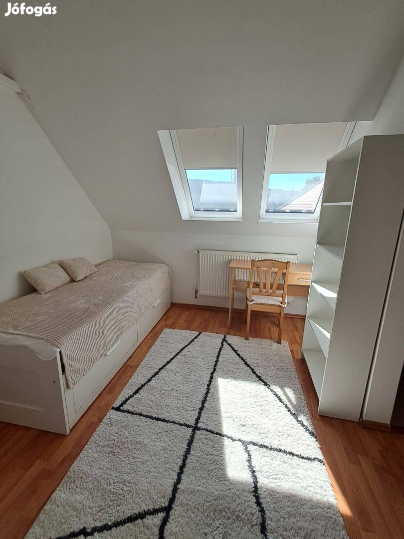 Gödöllő főterén kislakás kiadó