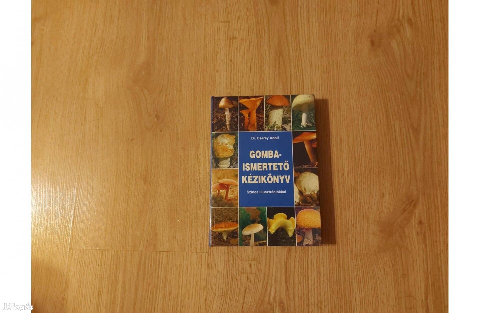 Gombaismertető kézikönyv. Színes illusztrációkkal