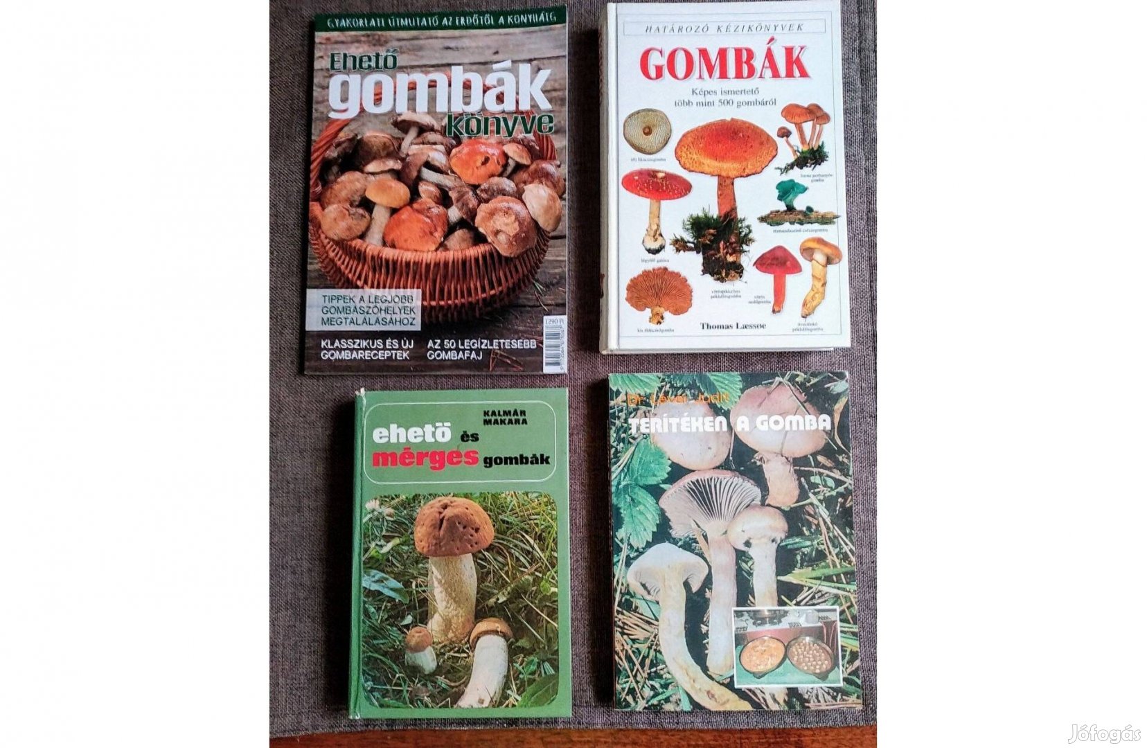 Gombák Ehető és mérges gombák Terítéken a gomba stb
