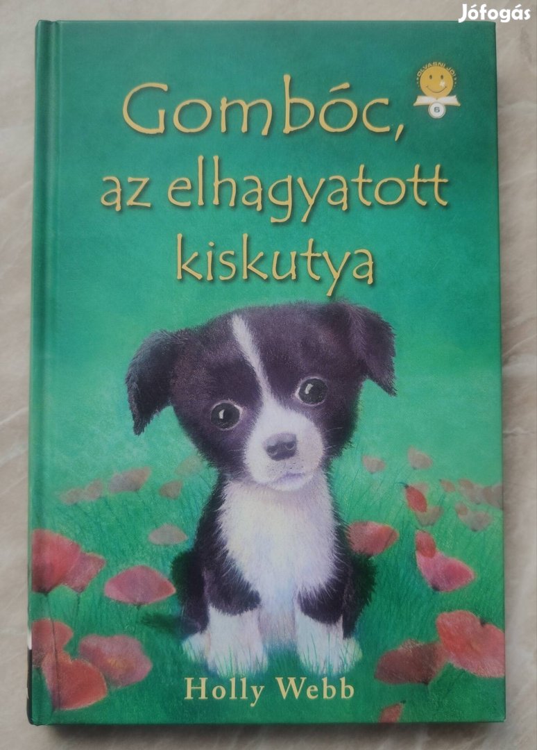 Gombóc, az elhagyatott kiskutya