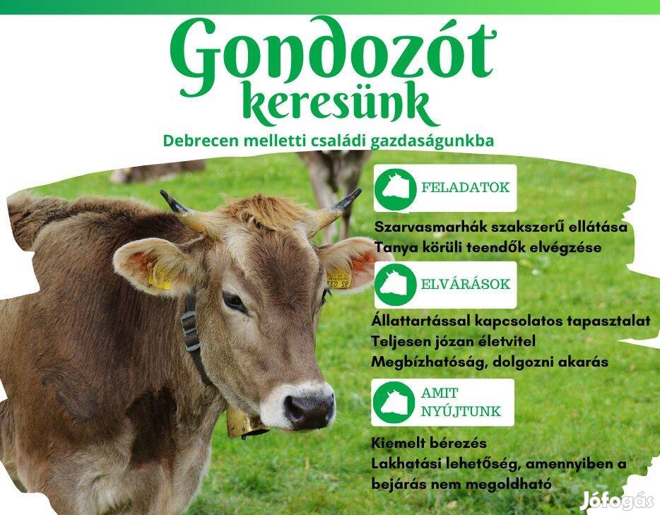 Gondozó kollegát keresünk