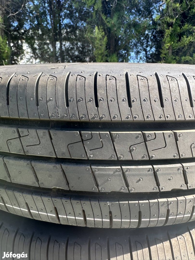 Goodyear Efficientgrip Performance 2